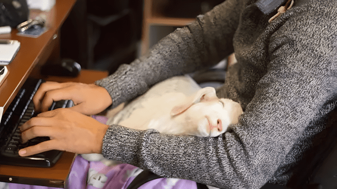 Ezek a menhelyi fotók még a legkeményebb szívet is meglágyítják! 😍 1313 Menhelyek dolgozoi osztottak meg a legcukibb allatos fotoikat3.jpg