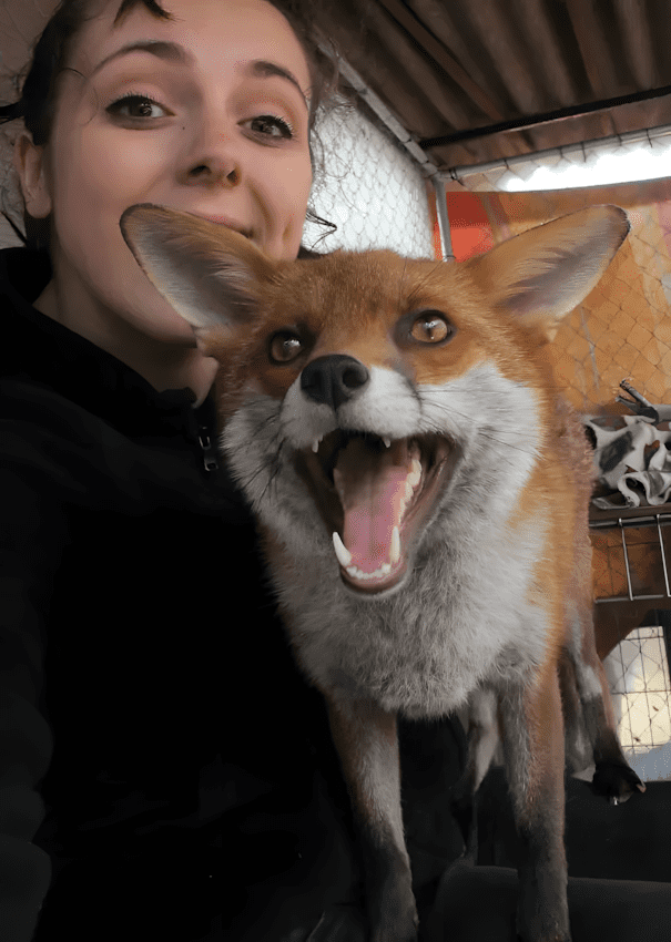 Ezek a menhelyi fotók még a legkeményebb szívet is meglágyítják! 😍 1314 Menhelyek dolgozoi osztottak meg a legcukibb allatos fotoikat4.jpg