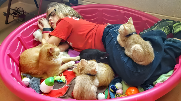 Ezek a menhelyi fotók még a legkeményebb szívet is meglágyítják! 😍 1317 Menhelyek dolgozoi osztottak meg a legcukibb allatos fotoikat7.jpg