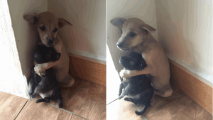 Szivfacsaro-felvetelek-Addig-el-nem-engedtek-egymast-amig-biztonsagba-nem-kerultek1-1-1024x576-1