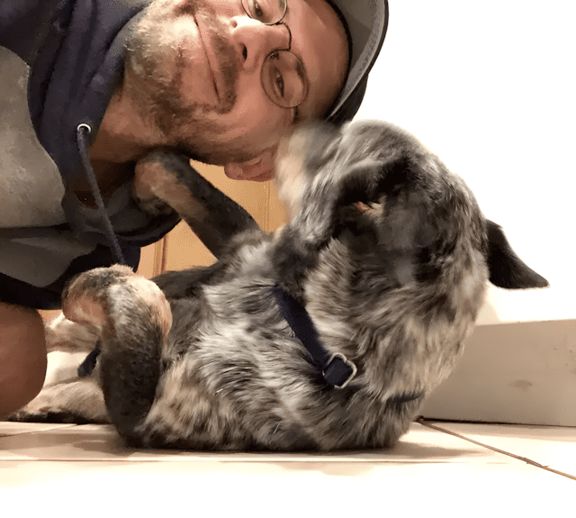 a ferfi talalkozik egy kobor kutyaval6.jpg