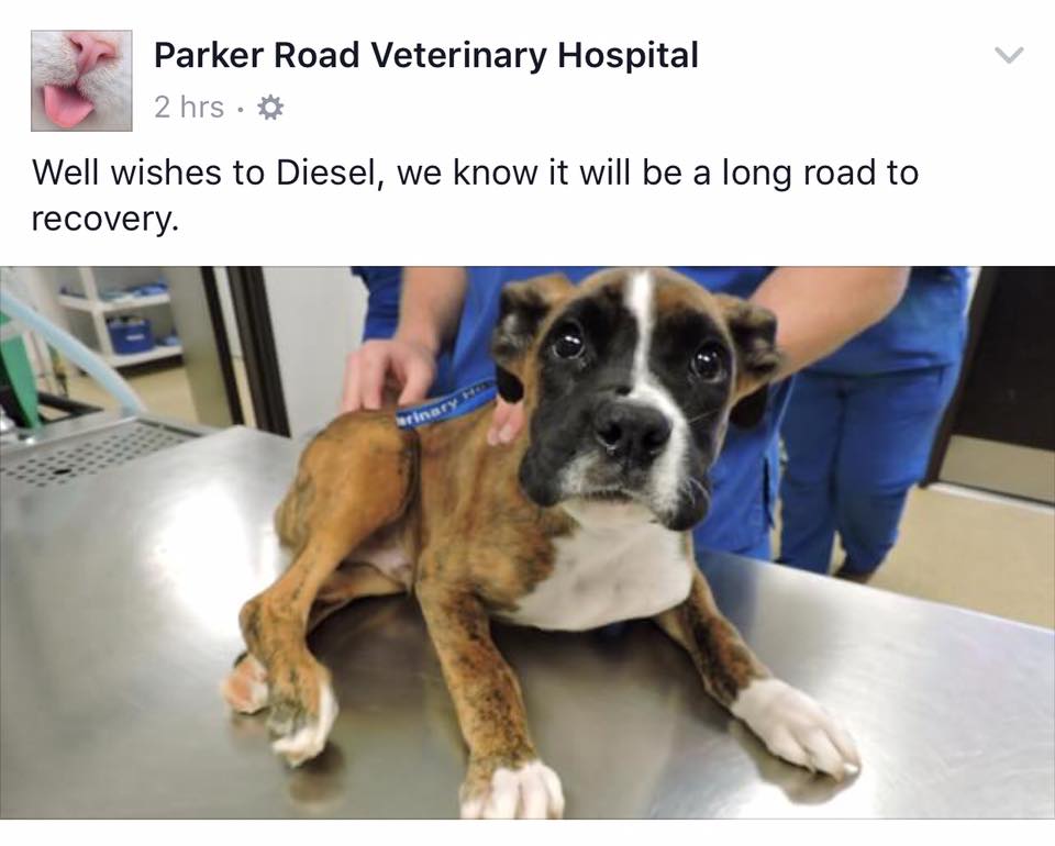 allatkinzasert-12-ev-bortont-kapott-a-texasi-ferfi-3c9984a7