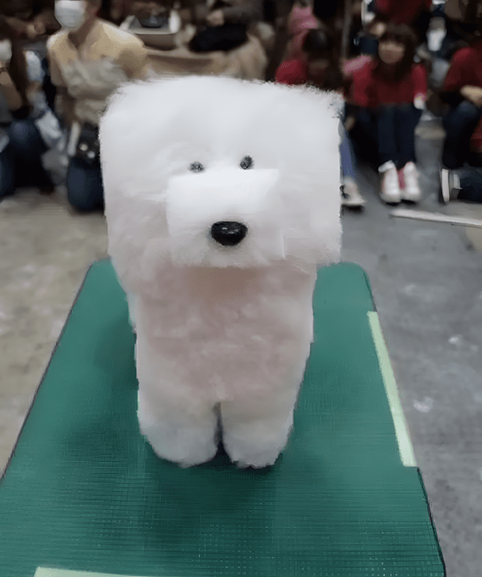 😂 14 kutya, akinek a kozmetikai átalakulása valami egészen… fura lett 893 allatkozmetika olyan rosszul sikerult13.jpg