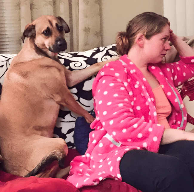 az allatok husege es szeretete nem ismer hatarokat12.jpg