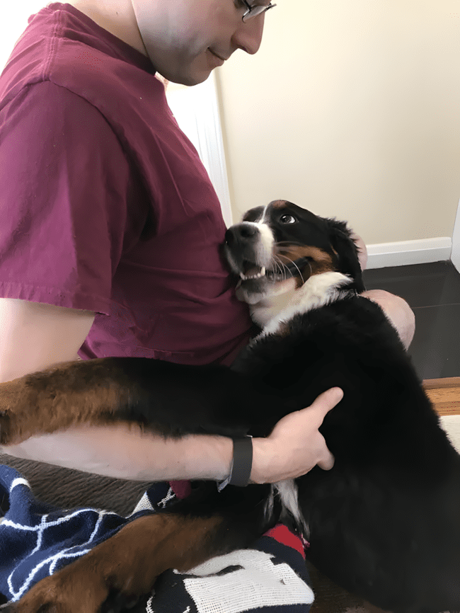 az allatok husege es szeretete nem ismer hatarokat8.jpg