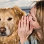 Beszélgess a kedvenceiddel: Kiderült ez az intelligencia új jele