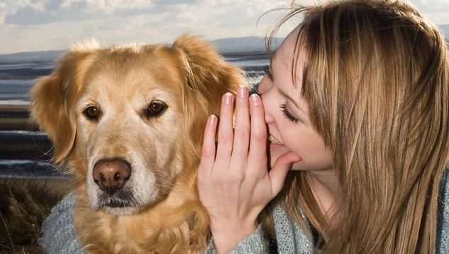 beszelgess-a-kedvenceiddel-az-intelligencia-uj-jelei-50abcad0