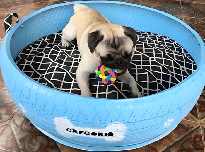 elszort gumiabroncsokbol csinal kobor allatoknak fekhelyet11.jpg