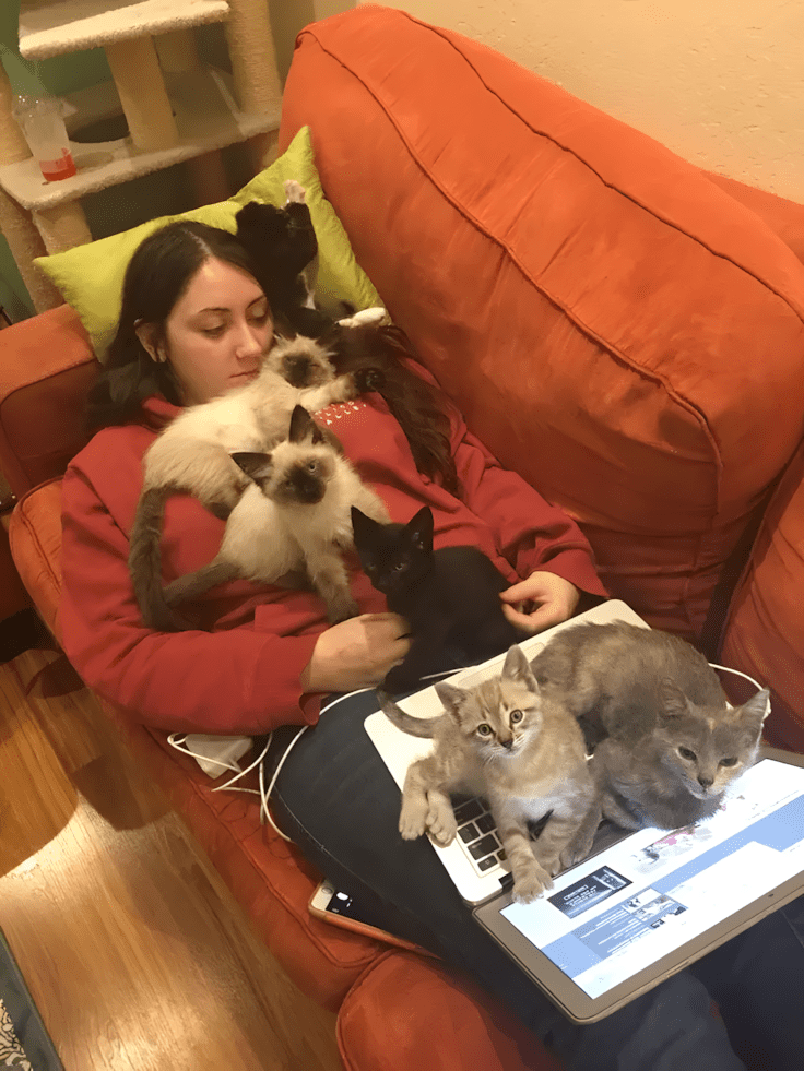 ezek az allatok bearanyozzak a napod9.jpg