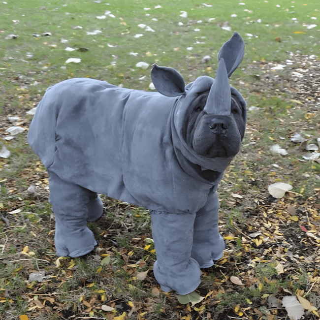 Rosszkedv ellen nem kell gyógyszer – csak nézd meg ezeket a fotókat! 1516 felvidito allatok15.jpg