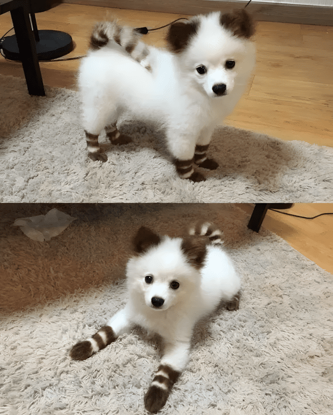 Rosszkedv ellen nem kell gyógyszer – csak nézd meg ezeket a fotókat! 1517 felvidito allatok17.jpg