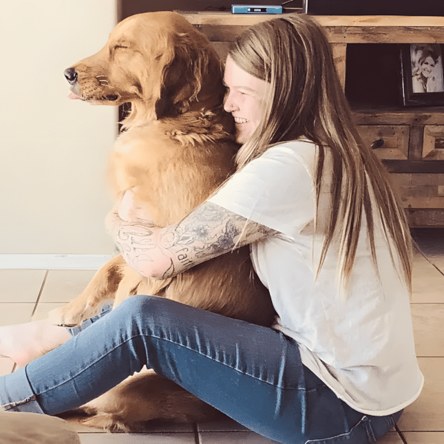 Csörgőkígyó támadt a gazdira – ez a golden retriever úgy lépett közbe, mint egy akcióhős! 🐍 1272 golden retriever mentette meg gazdaja eletet1.jpg