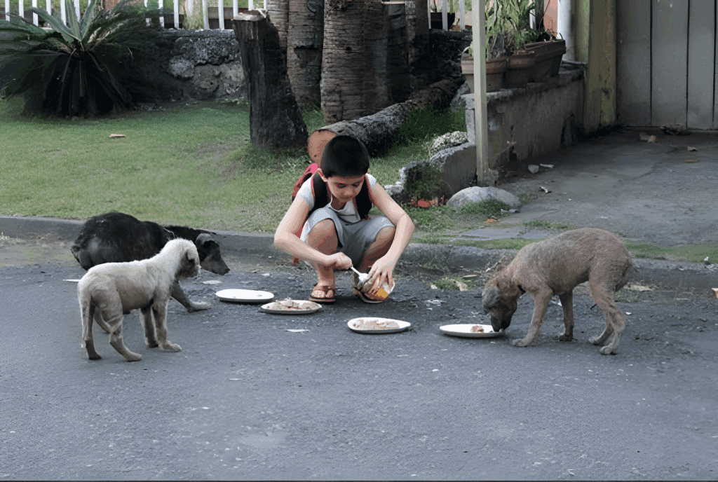 kutya etetes 1024x688 1