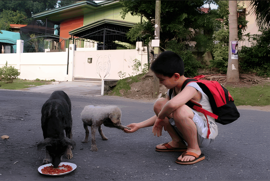 kutya etetes2 1024x688 1