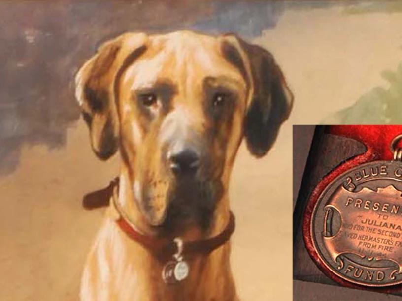 lepisilt-egy-bombat-ezzel-megmentette-gazdaja-eletet-juliana-foto-northfoto