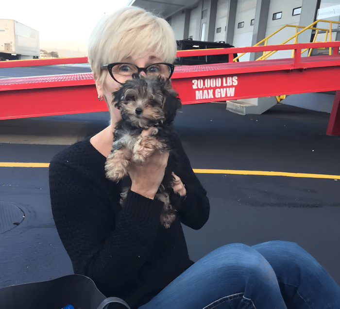 Könnyekig hatoló pillanatok: így találkoztak először a megmentett kutyák új gazdáikkal 💕 1171 meghato elso talalkozasok12.jpg