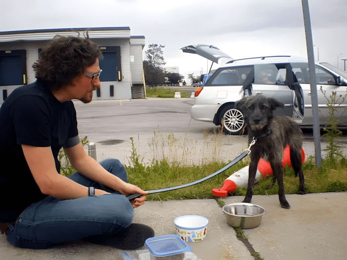 Könnyekig hatoló pillanatok: így találkoztak először a megmentett kutyák új gazdáikkal 💕 1173 meghato elso talalkozasok14.jpg