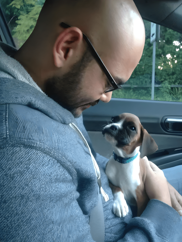 Könnyekig hatoló pillanatok: így találkoztak először a megmentett kutyák új gazdáikkal 💕 1163 meghato elso talalkozasok4.jpg