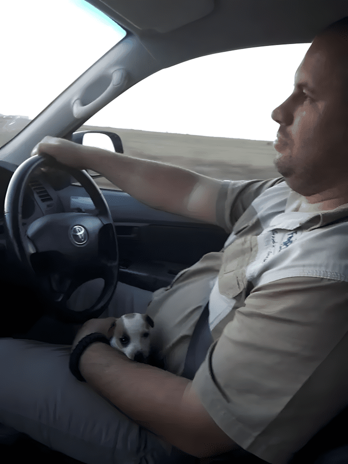 Könnyekig hatoló pillanatok: így találkoztak először a megmentett kutyák új gazdáikkal 💕 1165 meghato elso talalkozasok6.jpg