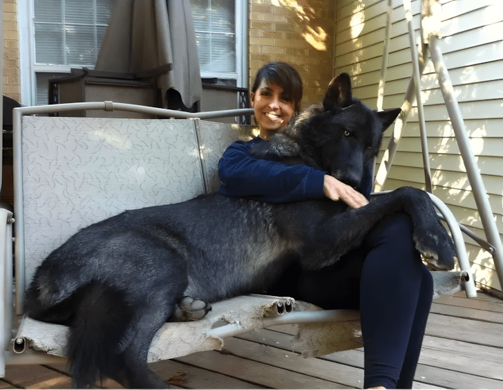 nagyra nott allatok18.jpg