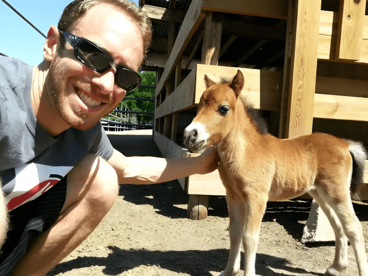 nagyra nott allatok3.jpg