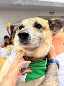 scale-1-14-768x1024-1