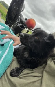 scale-1-16-650x1024-1