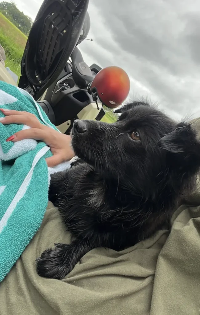 scale-1-16-650x1024-1