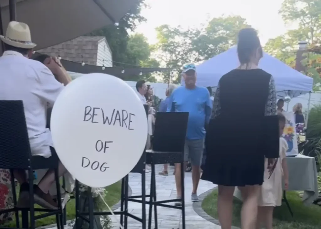 scale-1-18-1024x732-1