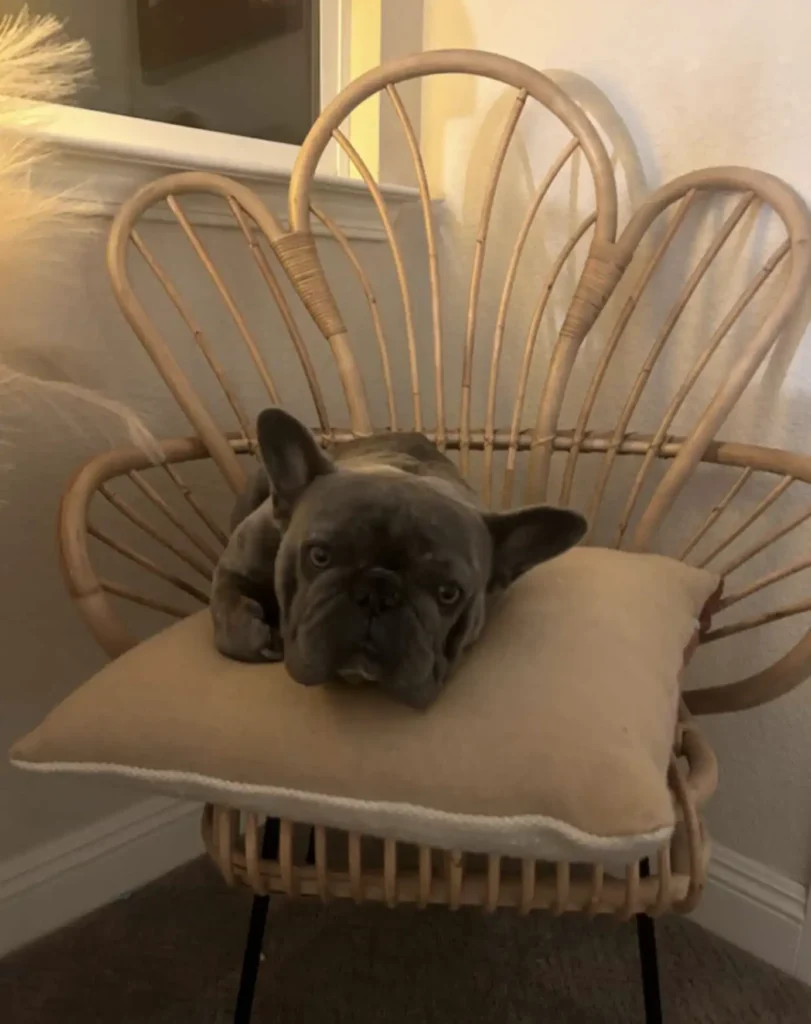 scale-1-19-811x1024-1