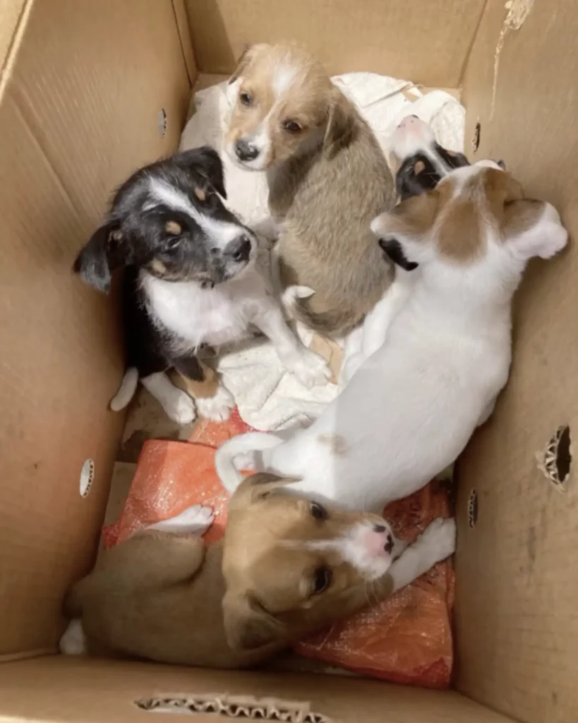 Kuka mellé dobták, de az élet adott nekik egy új esélyt 1029 scale 1 20