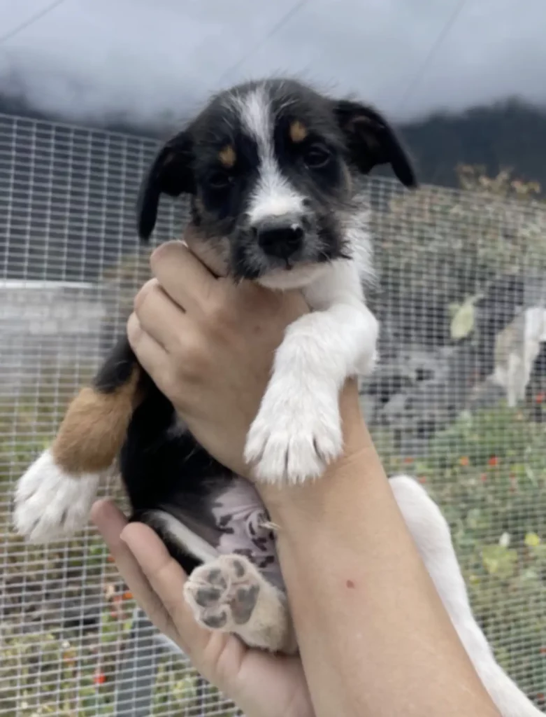 Kuka mellé dobták, de az élet adott nekik egy új esélyt 1030 scale 2 17