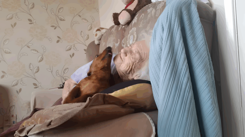 tacsko segit az alzheimeres neninek2.jpg