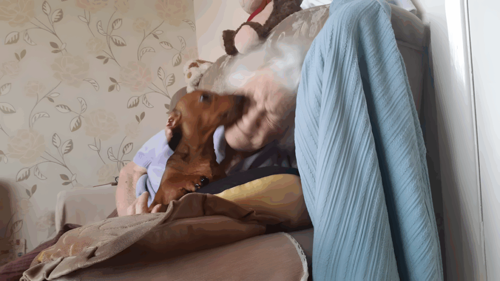 tacsko segit az alzheimeres neninek3.jpg