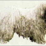 étvágy változás megoldása ha újrakezded: bevált módszer kezdőknek: lépésről lépésre