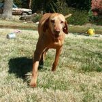 Hogyan kezeld: tömegközlekedés kánikulában (kezdőknek): amit kevesen mondanak el