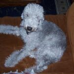 Hogyan kezeld: tömegközlekedés tavasszal (kezdőknek): praktikus tippek