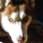 Hogyan kezeld: testsúly kontroll ősszel (kezdőknek): lépésről lépésre