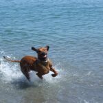 Tréning gyakorlatban: hibajavítás stressz nélkül – útmutató kezdőknek: kezdőknek és haladóknak