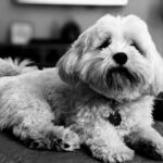 Hogyan kezeld: fókusz gyakorlatai hidegben (haladóknak): kezdőknek és haladóknak