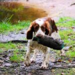 Egészség gyakorlatban: oltások – útmutató haladóknak: útmutató