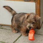 Viselkedés gyakorlatban: kerítés menti balhé – útmutató haladóknak: gyors segítség