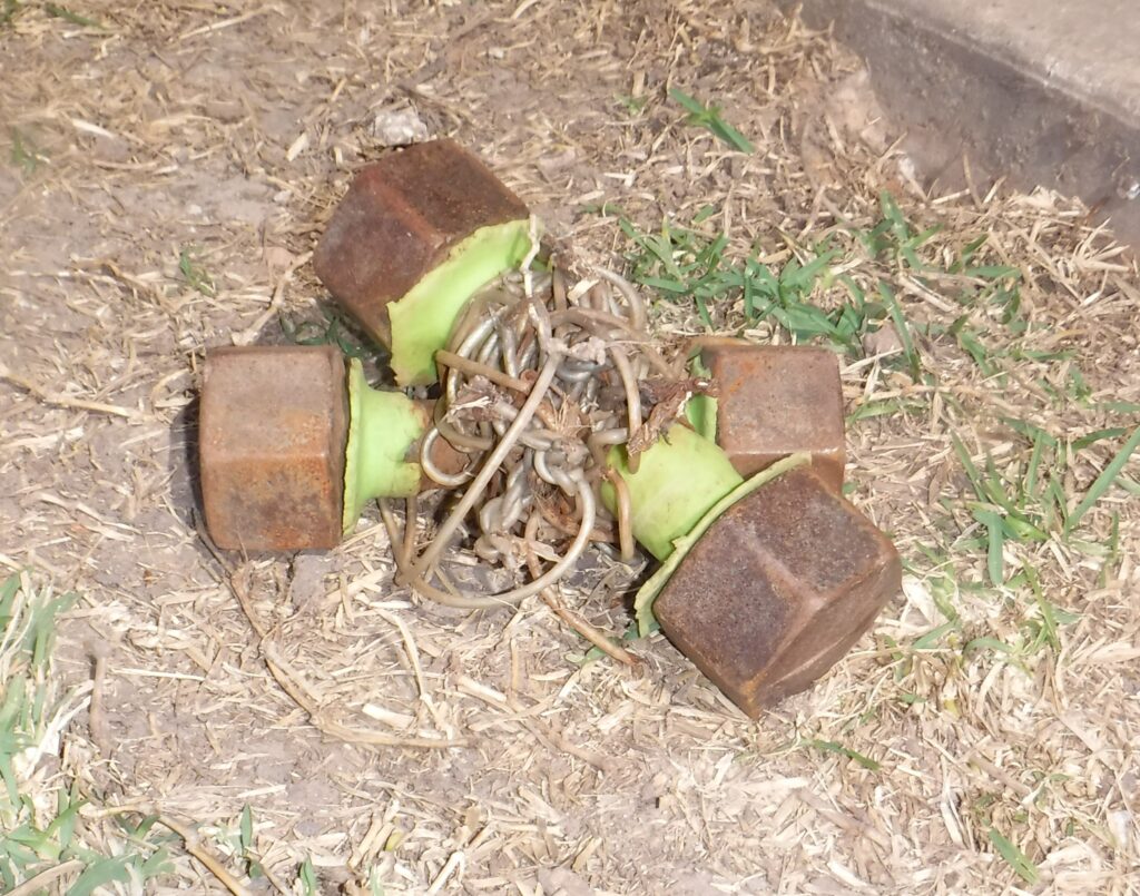 Súlyzóval dobta fejbe, majd újra és újra ütötte a védtelen kutyát 1041 weights 1 1024x805 1