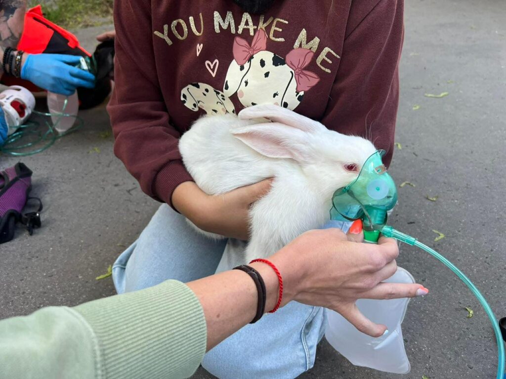 681488828 1426425522622740 3089412861687225612 n