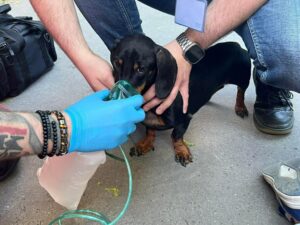 683111741_1426425519289407_5103680266001048256_n-1024x768-1