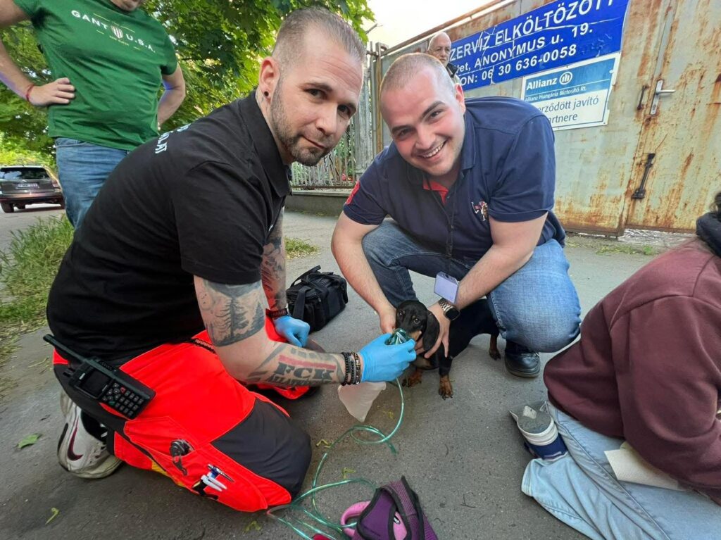 687038665 1426425525956073 1956208340588233583 n