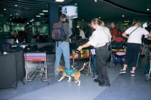 78554910_xl_normal_none-1024x678-1