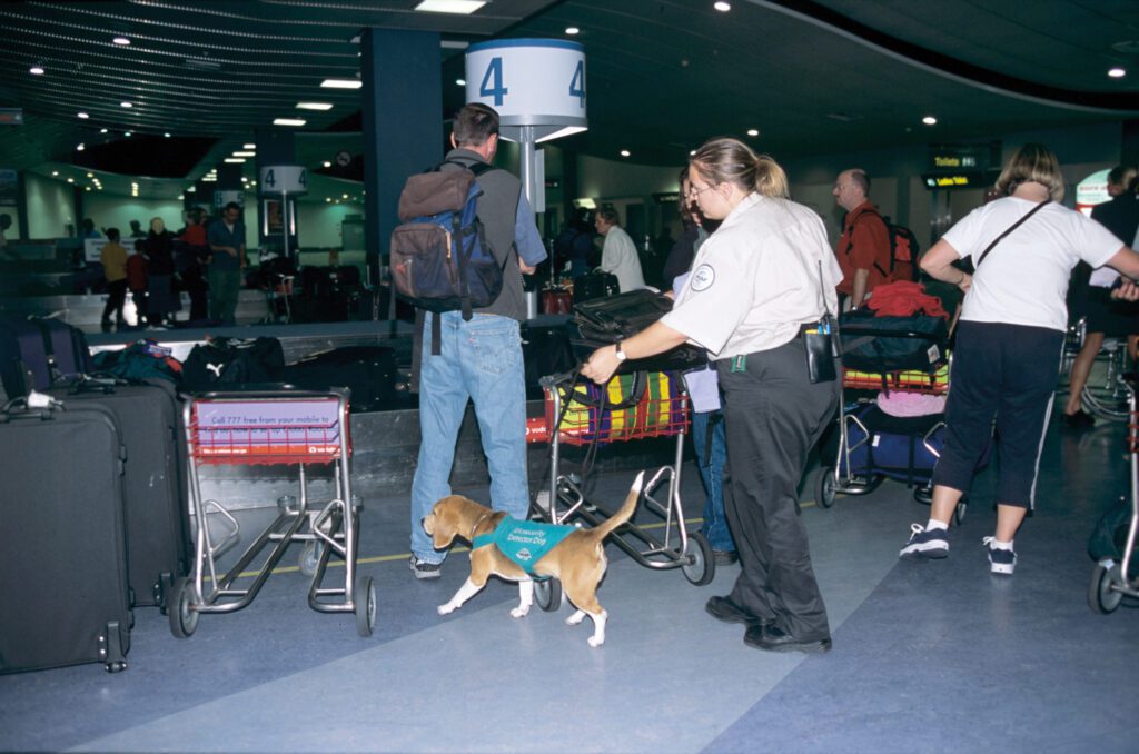 78554910_xl_normal_none-1024x678-1