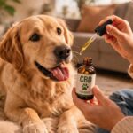 Ez történhet, ha CBD-t kap a kutya – meglepő eredményre jutottak a kutatók