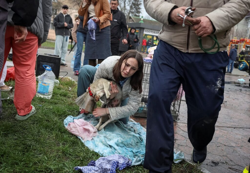 Orosz dróntámadás ért egy ukrajnai állatorvosi klinikát: rengeteg kutya halt meg a pusztításban 3 XT3EBOID7I554TNBZ5R24IUTRI